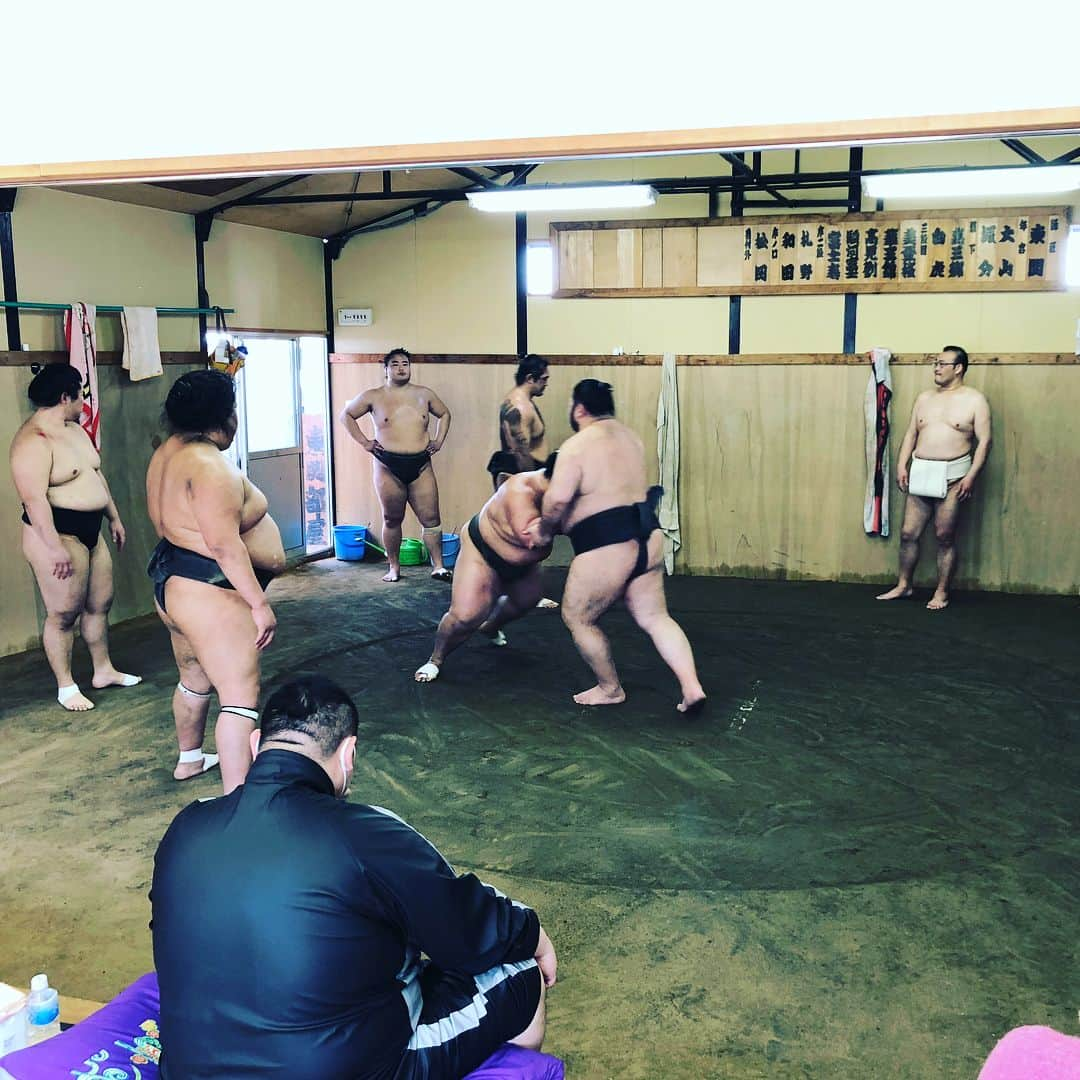 武田訓佳さんのインスタグラム写真 - (武田訓佳Instagram)「東関部屋の稽古見学へ。 ・ いよいよ始まりますね❤️ ・ ・ #相撲 #大阪 #春場所 #三月場所 #東関部屋 #稽古 #見学 #名物 #ちょっと甘めの #たまごやき #ちゃんこ #今日は豪華鍋バージョン #場所が楽しみ」3月6日 14時29分 - kunika0117