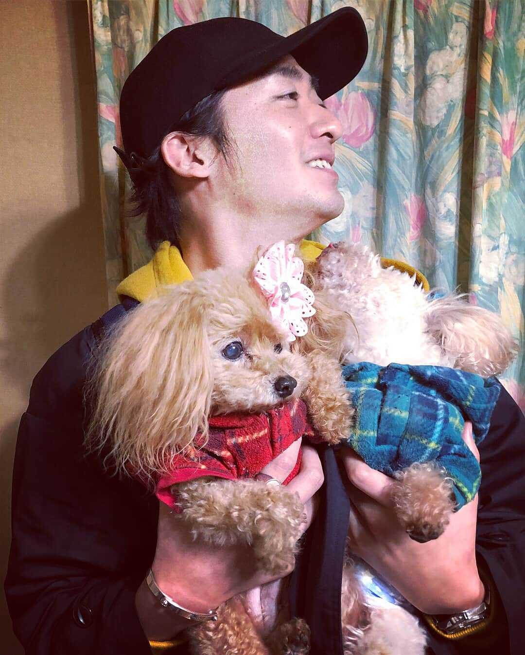 ダイキさんのインスタグラム写真 - (ダイキInstagram)「ミルキーとクッキー #トイプードル#愛犬 #静岡県#浜松市 #浜松でロケしたよ」3月6日 18時21分 - daiki_sugiura0619