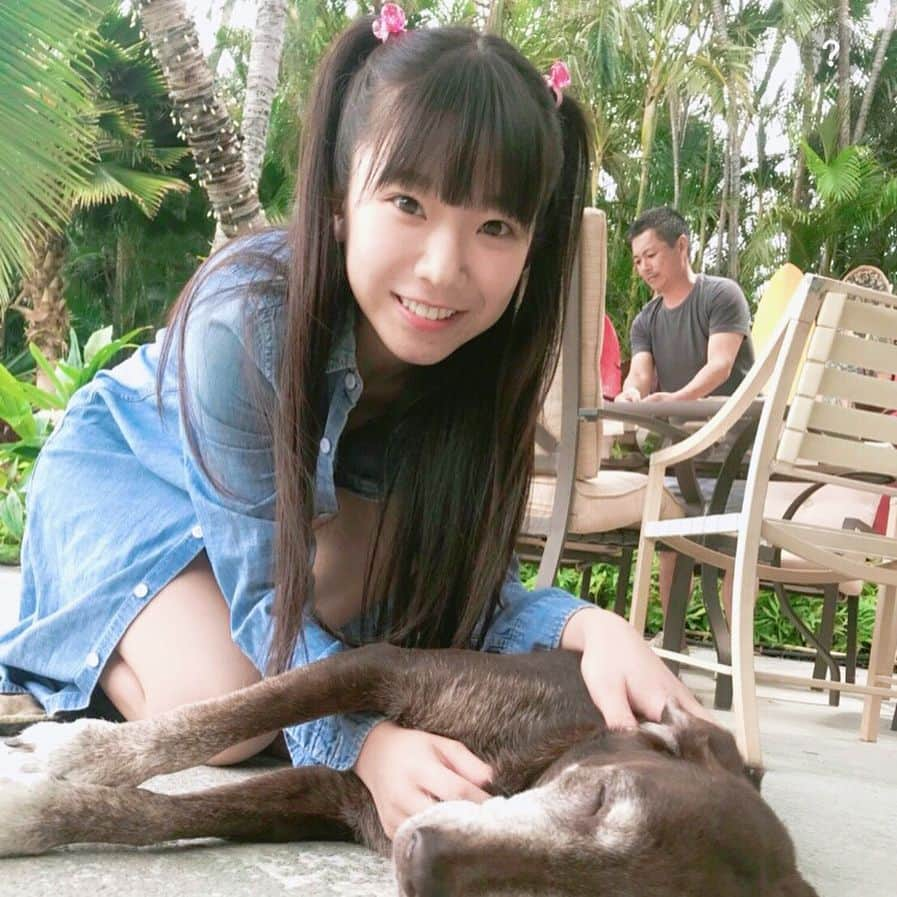 長澤茉里奈さんのインスタグラム写真 - (長澤茉里奈Instagram)「マリーちゃん🐶とまりちゅう🐭💖 #Hawaii #わんこかわいい #marichuu #nagasawamarina」3月6日 19時51分 - marinanagasawa1008