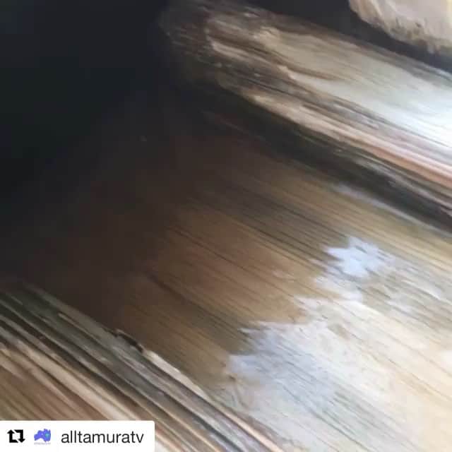 山崎聡子のグルメインスタ