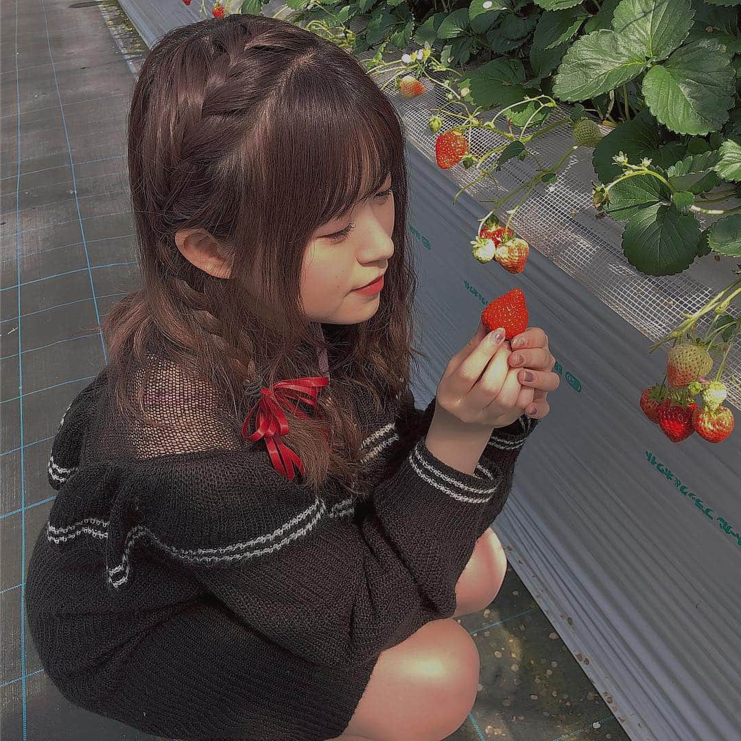 冨吉明日香のインスタグラム：「. 今日は髪の毛をあみこんで 先に赤いリボンをつけたよ🎀💫 イチゴ意識🍓気合い🍓笑 . 5分くらいでできちゃう 簡単なヘアアレンジだけど 可愛いからオススメ☺︎ . ワンピースは#titiyandco 👗👑 . #イチゴ狩り #いちご狩り #🍓 #簡単ヘアアレンジ #ヘアアレンジ  #編み込みアレンジ #あみこみアレンジ  #セルフヘアアレンジ #とみよしふく」