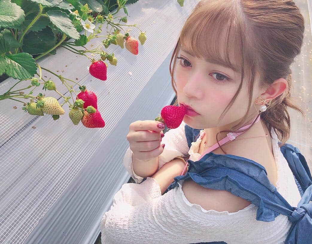 岩花詩乃さんのインスタグラム写真 - (岩花詩乃Instagram)「🍓💋❤ * * #白木のいちご#しあわせもん#いちご狩り#あまおう」3月2日 22時02分 - 4shino_iwahana1