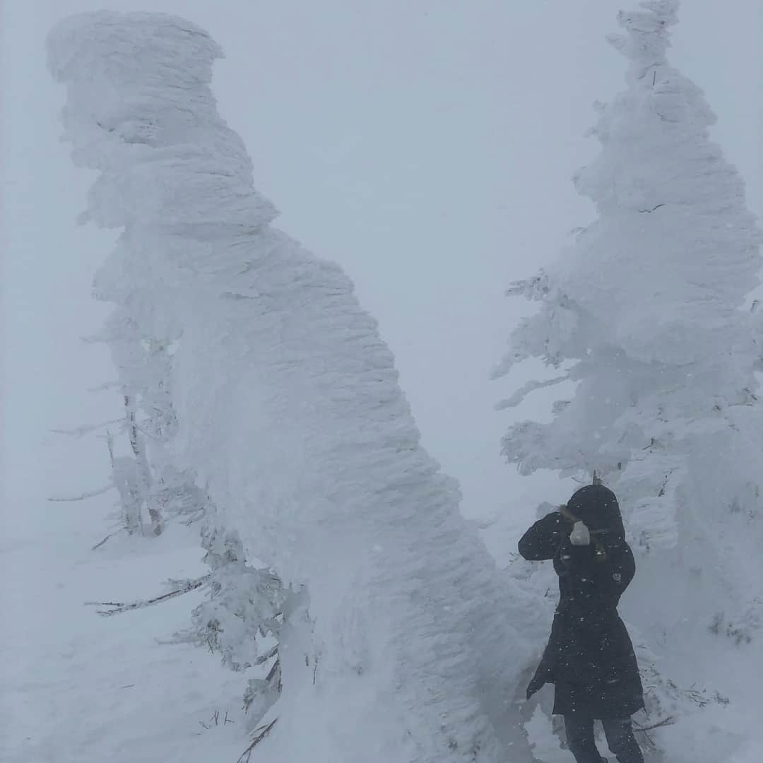神室舞衣さんのインスタグラム写真 - (神室舞衣Instagram)「八甲田山の樹氷。ロープウェイで🚡﻿ 山頂は−14℃の標高1,584mの世界。 息するのも目を開けるのも大変な🤩猛吹雪で視界は真っ白だったけどなんとか気合いで神秘的な樹氷﻿をこの目で見れた〜😂💛﻿ 2、3枚目👉風でよろけながらも全体の写真撮れた❤︎ 近くで見ると氷の線が美しくて大きくて迫力もありで本当に凄かった。 晴れる時はなかなか貴重らしいからいつか見たい(^^) #樹氷 #snowmonster #aomori」3月3日 20時11分 - maikamuro.official