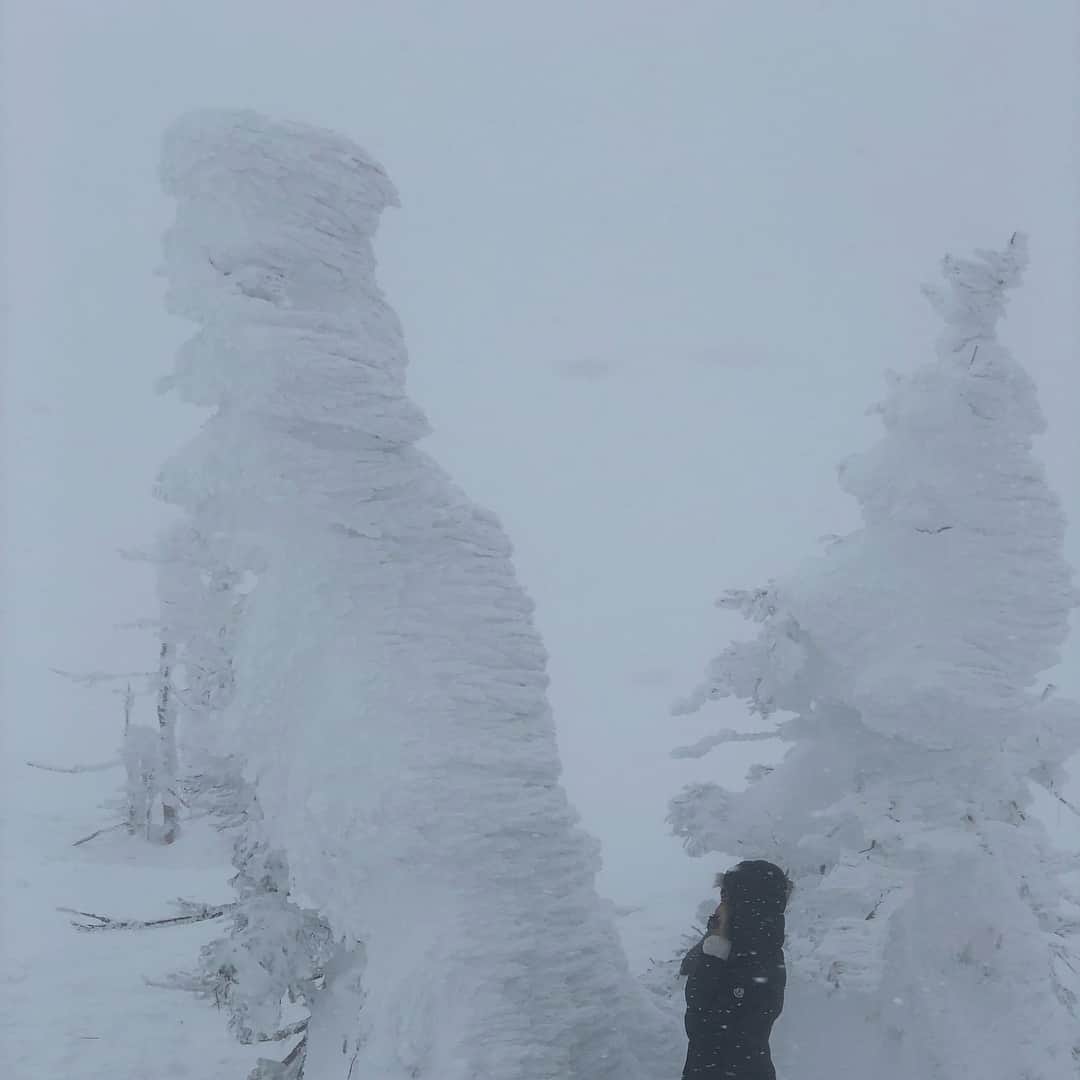 神室舞衣さんのインスタグラム写真 - (神室舞衣Instagram)「八甲田山の樹氷。ロープウェイで🚡﻿ 山頂は−14℃の標高1,584mの世界。 息するのも目を開けるのも大変な🤩猛吹雪で視界は真っ白だったけどなんとか気合いで神秘的な樹氷﻿をこの目で見れた〜😂💛﻿ 2、3枚目👉風でよろけながらも全体の写真撮れた❤︎ 近くで見ると氷の線が美しくて大きくて迫力もありで本当に凄かった。 晴れる時はなかなか貴重らしいからいつか見たい(^^) #樹氷 #snowmonster #aomori」3月3日 20時11分 - maikamuro.official