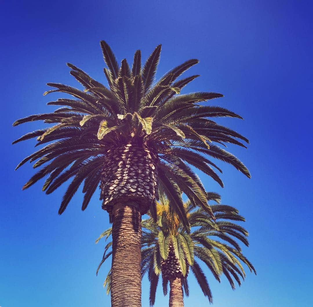 武田久美子さんのインスタグラム写真 - (武田久美子Instagram)「#San Diego#California# sunny sky#kumiko takeda」3月3日 13時27分 - kumikotakedaofficial