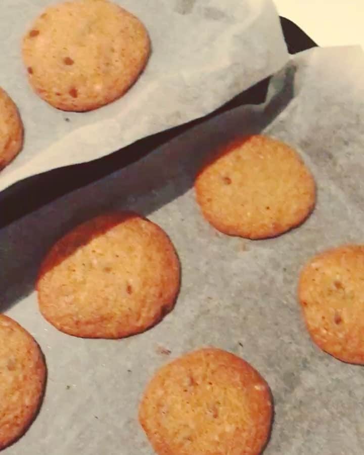佐原モニカのインスタグラム：「Felt like making some chocolate chip and cinnamon cookies🍪🍪🍪 Definitely gotta protect it from the little piggies🐶😄👍🏼 #sorrykids」