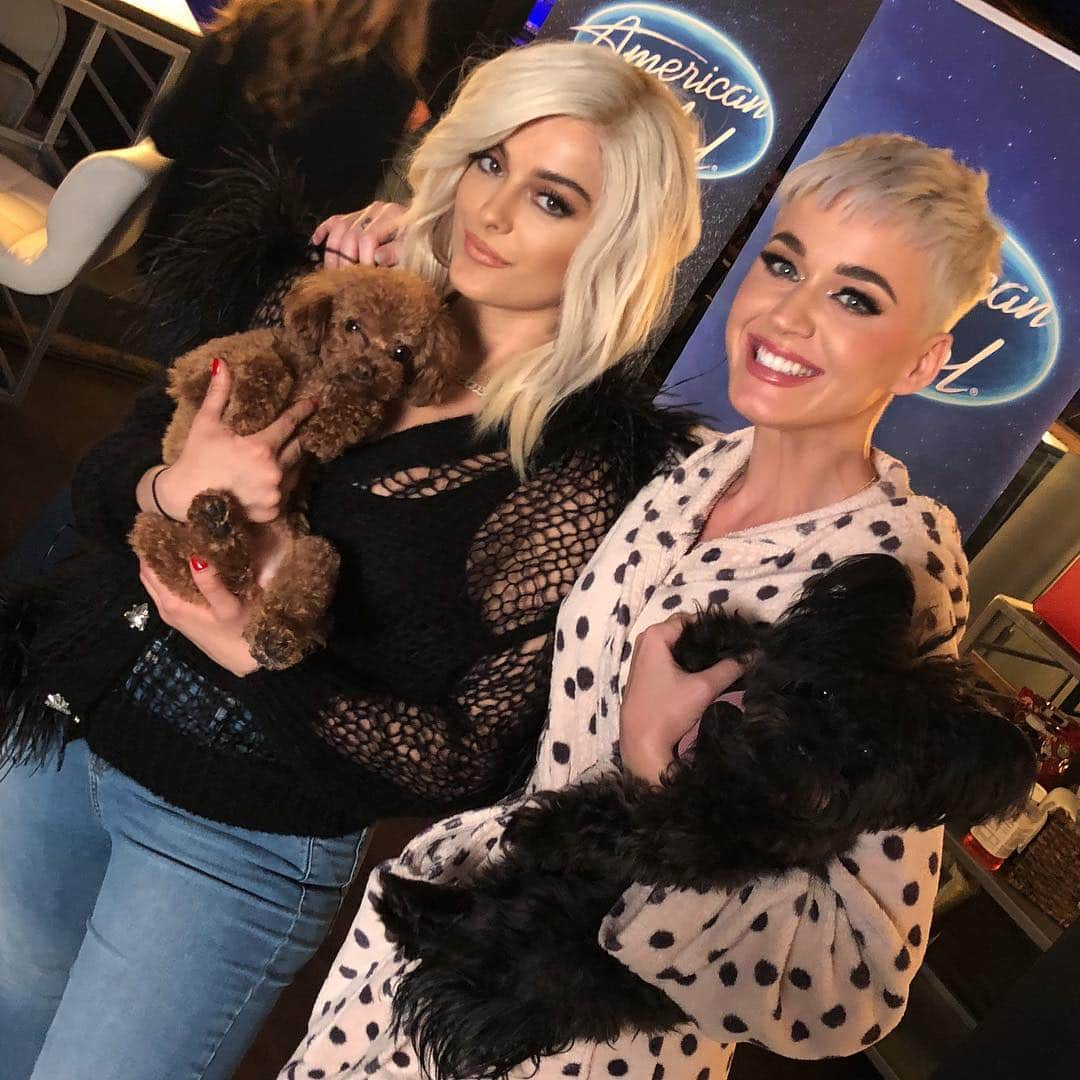 Bebe Rexhaさんのインスタグラム写真 - (Bebe RexhaInstagram)「We decided to switch dogs.」3月4日 13時27分 - beberexha