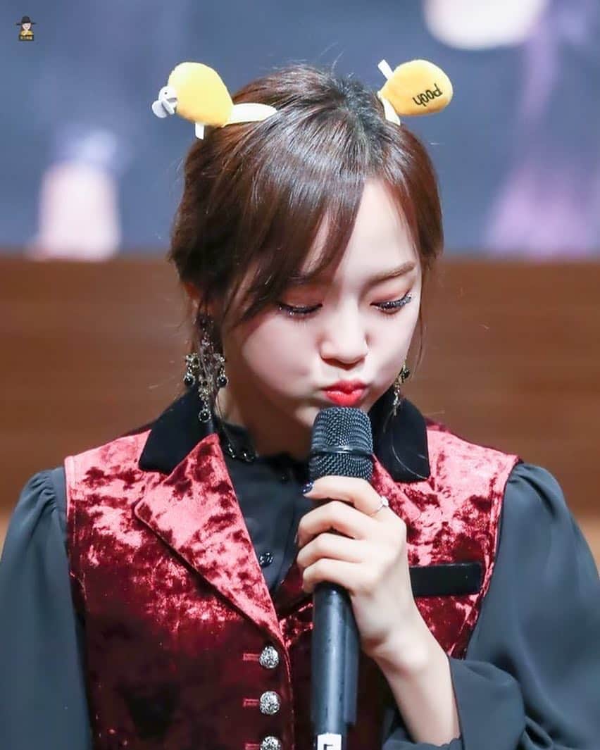 セジョンのインスタグラム：「귀여워ㅠㅠㅠ❤️❤️ KCONにセジョンちゃん来ますね❣️ ©︎on pic #sejeong #kimsejeong #세정 #セジョン #キムセジョン  #김세정 #jellyfish #produce101 #프로듀스101 #ioi #아이오아이 #gu9udan #gugudan #gx9 #구구단 #갓세정 #ググダン #ぐぐだん #chococo #theboots」