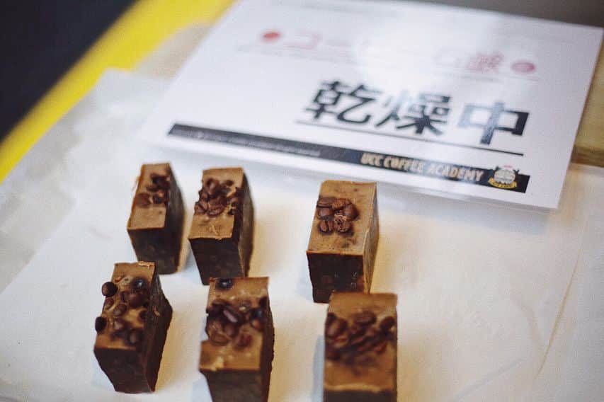 goodcoffeemeさんのインスタグラム写真 - (goodcoffeemeInstagram)「LBLACの優勝者が決まりました！ 皆さま熱い闘いお疲れ様でした！！ . 1位 齋 真奈美バリスタ 東京都 - sol’scoffee . 2位 定森涼バリスタ 大阪府 - bills . 3位 永井ひかりバリスタ 東京都 - ダブルトールカフェ渋谷店 . ファッション賞 朱紫樺バリスタ 東京都 - ラテスト . By @takahirotakeuchi_ . #AKTR #我孫子sora #株式会社大一電化社 #株式会社ニッピコラーゲン化粧品 #株式会社mammaciao #株式会社REVO #CAFEmagazine #GoodCoffeeInc #SUNNYBELLCOFFEE #Standart ( @tandartmag @standartjapan )  #創作珈琲工房くれあーる #タカナシ販売株式会社 #DAVIDECOFFEESTOP #ChokeDigitalKK  #Trentanove #有限会社FBCインターナショナル #UCCコーヒーアカデミー東京校 #ラッキーコーヒーマシン株式会社 #LBLAC #LadyBarista #LadyBaristaLatteArtCup #LadyBaristaLatteArtCup2018 #Barista #Latteart」3月5日 17時00分 - goodcoffeeme