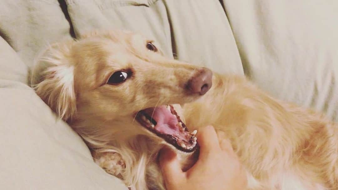 BETTYのインスタグラム：「I love my mom's hands 🙌」