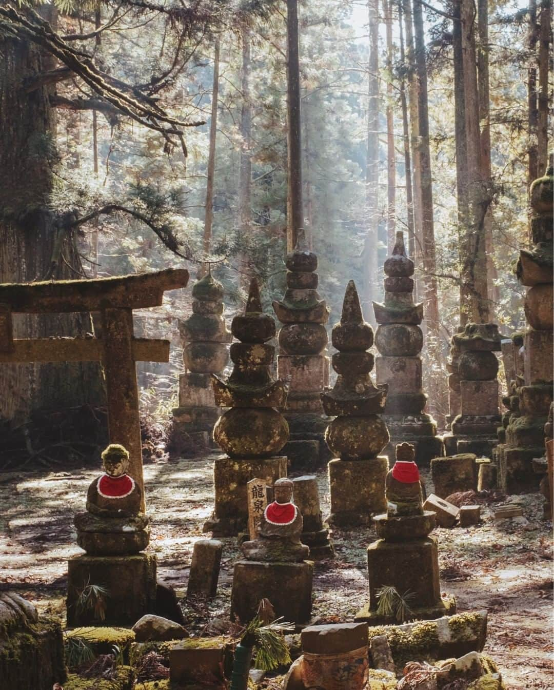 thephotosocietyさんのインスタグラム写真 - (thephotosocietyInstagram)「Photo by @migeophoto // Walking through Okunoin Cemetery, the oldest and largest cemetery in Japan, is an ethereal experience. The morning sun burns the mist from the moss and over 200,000 people continue resting. The trees are massive, like the Muir Woods in California. They tower and create a cool and musty microclimate. I wandered the cemetery for hours, learning the symbolism of the lamps and baby Buddhas. If you’ve seen Kubo and the Two Strings (which you should, if you haven’t) you might recognize this place as the inspiration for the movie’s final scene. It is the most poignant, soulful, and natural place I’ve found to remember the dead. // #okunoin #okunoincemetery #forestcemetery #koyasan #sacredmountain #japan #okunoinjapan #japanesecemetery」3月6日 7時30分 - thephotosociety