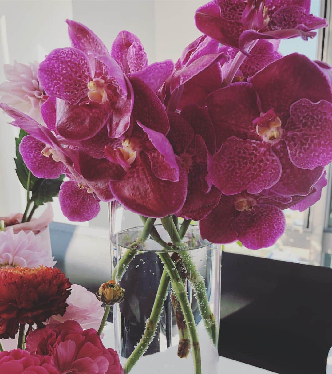 望月理恵さんのインスタグラム写真 - (望月理恵Instagram)「お花いただきました。 誕生日って最高です(≧∀≦) えっと、、これは名前が、、、 #花#花生活 #たぶんラン科」2月10日 13時46分 - mochiee28
