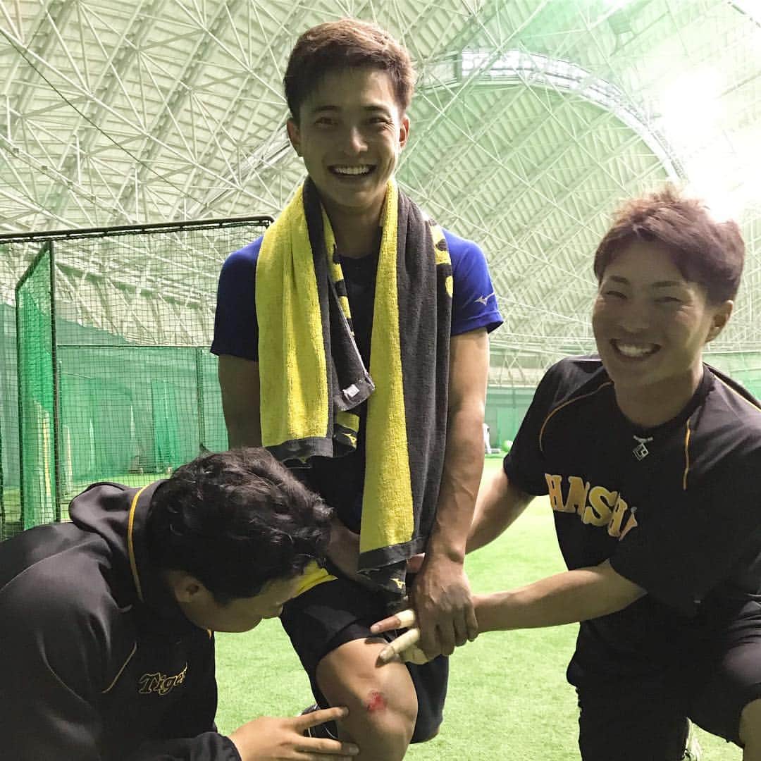 阪神タイガースのインスタグラム