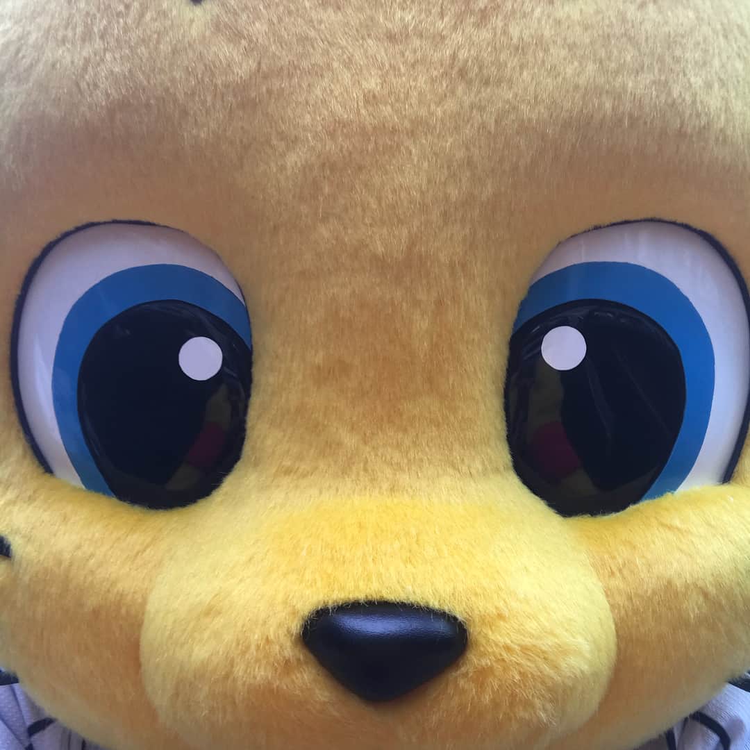 秋山拓巳のインスタグラム：「#前のと違うよ#今日もキー太#近くに居たから#呼び寄せた#気づいたこと#梅野よりキー太#間違いない#キー太に自撮りさそうとしたけど#指はスマホ対応してなかった#最新じゃないな#アップデートよろしく#代わりに押してあげたよ#一応自撮り#最後に何かして#言うたら#1番困るやつやと思う#そしたら#3150#前やったやん#キー太もこの投稿観てるはず#ということで#次楽しみにしとくね#キー太❤」
