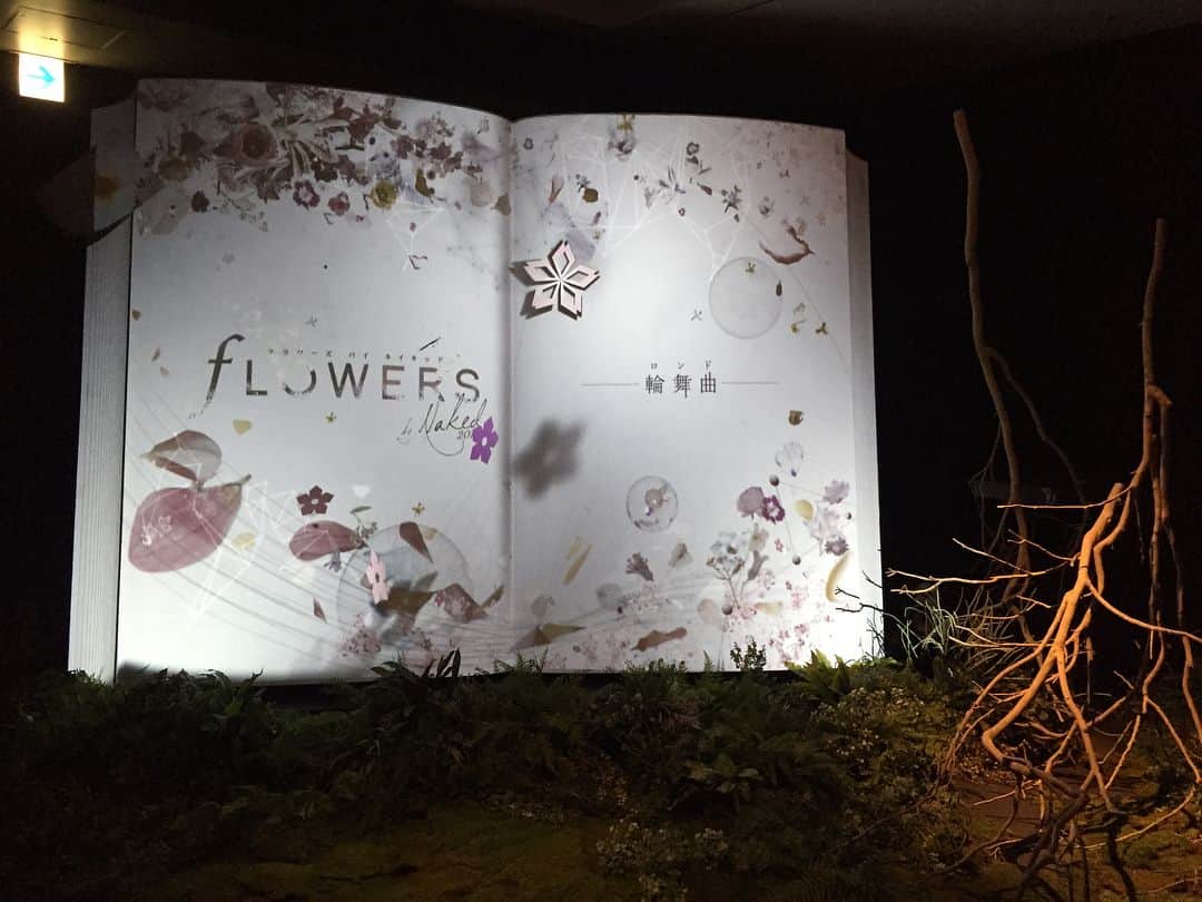 土屋ひかるのインスタグラム：「今日はずっと気になっていた  #flowersbynaked に行ってきました☺️✨ 五感フル回転のとても素敵な空間で、いち早くお花見🌸出来て春を感じられました🙏✨ @takaoshiraki さんありがとうございます！  #フラワーズバイネイキッド #日本一早いお花見 #lanvinenbleu」