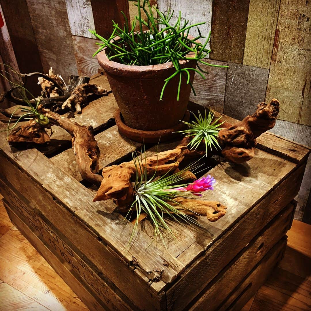 CRATE.JAPANのインスタグラム