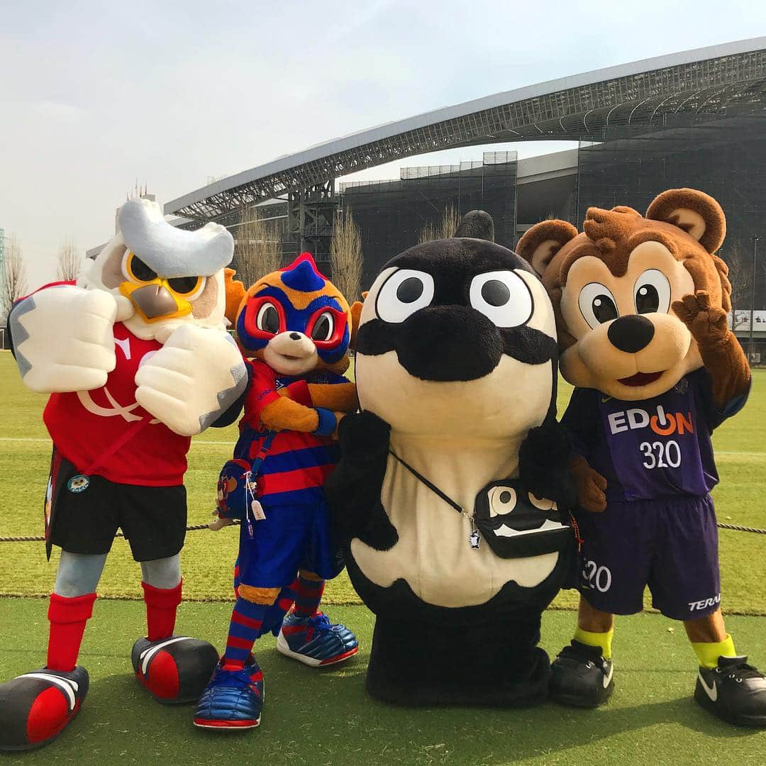 ドーレくんのインスタグラム：「Jリーグマスコット総選挙、今年は5位🦉みんな毎日コツコツ投票ありがとう⭐️ そして#グランパスくん センターおめでとう！よっ！マスコット王🏆✨ #consadole #ドーレくん #東京ドロンパ #グランパスくん #サンチェ」