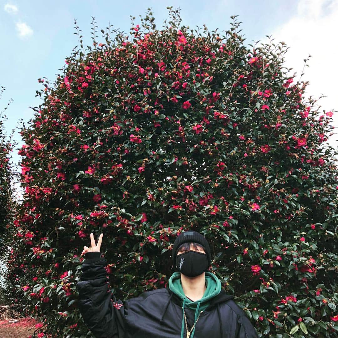 のインスタグラム：「v.v쁘이」