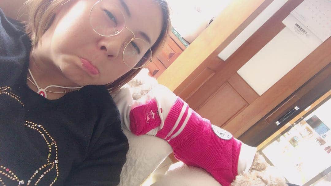 佐伯三貴のインスタグラム：「ただいま🐶  実家に1ヶ月ぶり位に帰って来たらコテツくん喜んでくれてはしゃぎ疲れて頭の上で寝てたらこの距離感でオナラ2回された🤣🤣🤣 あぁーーくちゃいくちゃい🤣❤️」