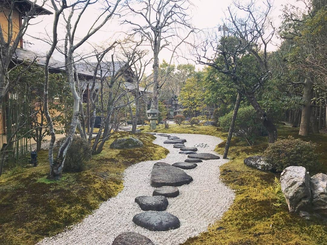 坂本美雨さんのインスタグラム写真 - (坂本美雨Instagram)「源鳳院にて #京都 #なまこと二人旅  #今日のなまこちゃん #青山有紀  #ゆきちゃんとなまこのラブラブ写真が多すぎて #ゆきちゃんとなまこの二人旅のようだ😹」2月13日 0時19分 - miu_sakamoto