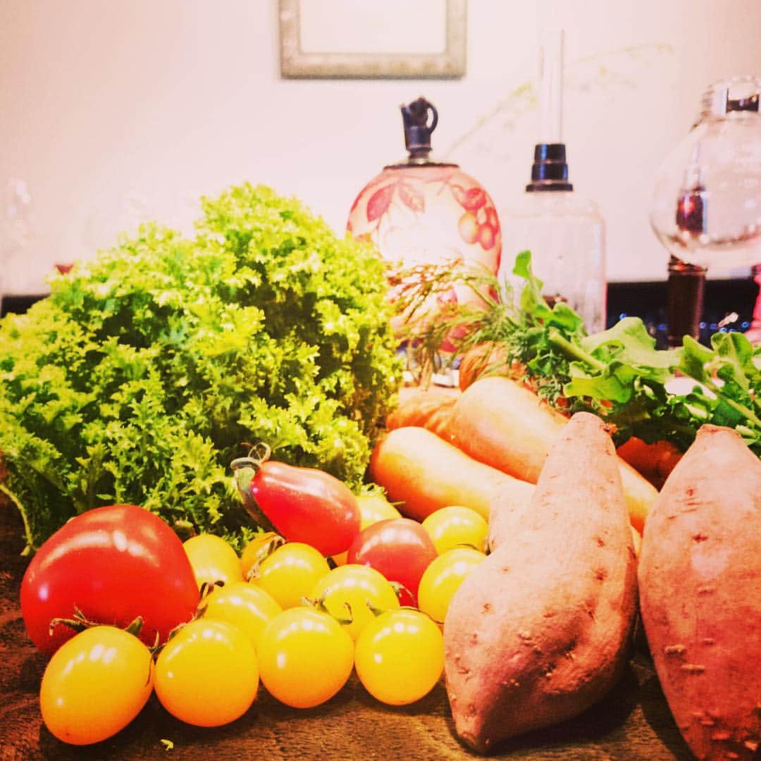 Barre de vin Kさんのインスタグラム写真 - (Barre de vin KInstagram)「2018.02.13  いろいろ野菜  様々な料理に変わりますが こだわり野菜をたくさん 仕入れることのできる 環境に感謝です。  Various vegetables  It changes to various dishes A lot of commitment vegetables Can purchase I appreciate the environment.  #vegetables #LouisVuitton #warm #foodstragram #vscocam #instafood #instavsco #IGersJP #foodphoto #onthetable #vsco_food #vscogram #fodstyling #feedfeed #mycommontable #foodvsco #foodlover #wine #winelover #barredevink #LIN_stragrammer #オトコノキッチン #kagoshima #cafestragram #大人カフェ #winebar #cafe #winebar」2月13日 13時19分 - sommelier_hiro