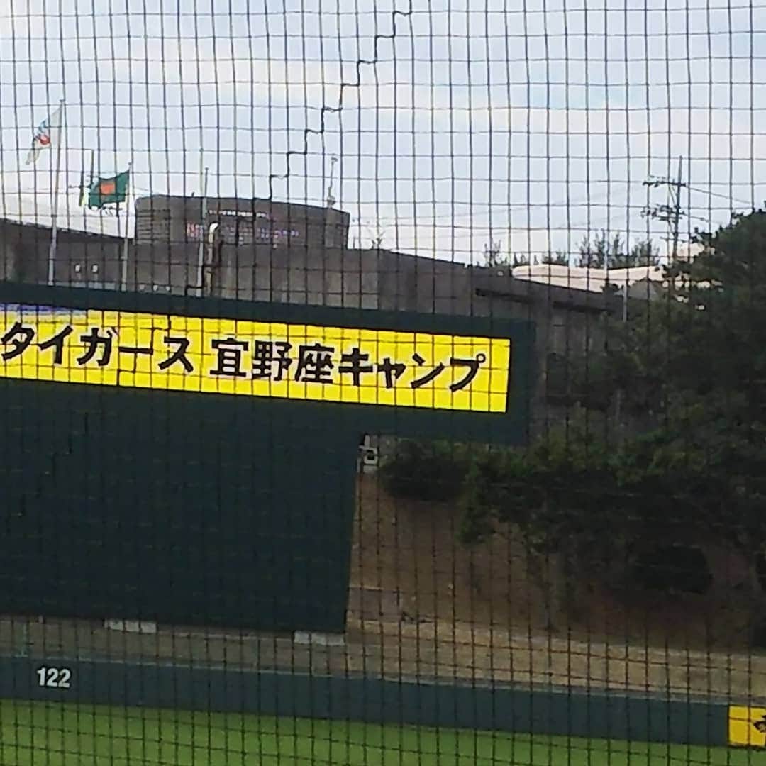 小野竜輔さんのインスタグラム写真 - (小野竜輔Instagram)「#阪神タイガース #キー太くん #宜野座キャンプ #はじめてキャンプみたけどやっぱプロって凄い #野球はそんなに興味ないのだけれど #今度生でみてみたいよね」2月13日 7時42分 - onodora0813
