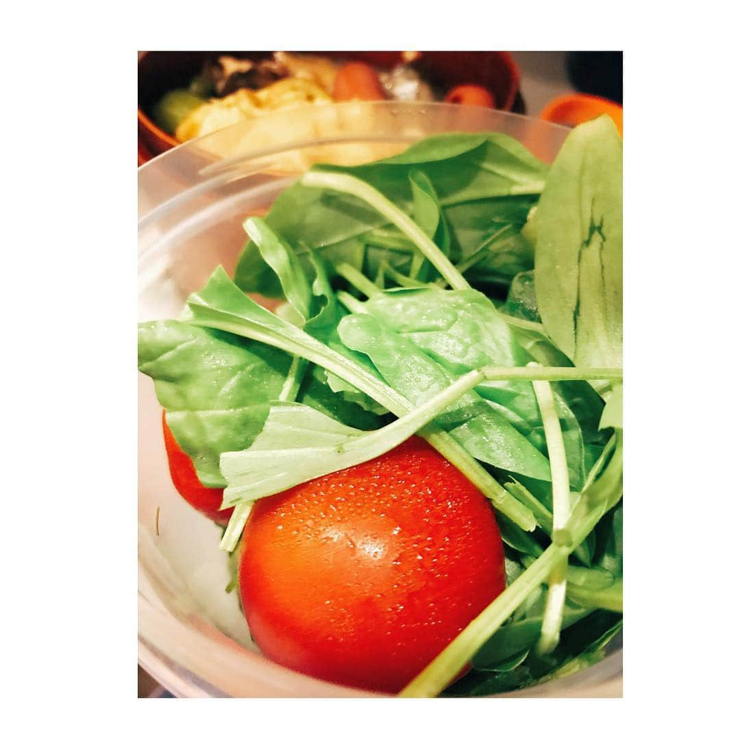 MAIKO さんのインスタグラム写真 - (MAIKO Instagram)「∗ #お腹ペコ #持ち弁🍱 #サラダ 汗かいてらぁ🥗 #サラダほうれん草 うま🌿 #みんな何食べたのー⁇」2月13日 15時09分 - maiko_oops