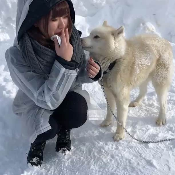 朝比奈ほのかのインスタグラム