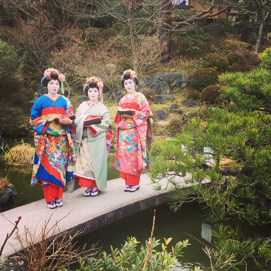 澤村小夜子さんのインスタグラム写真 - (澤村小夜子Instagram)「おいし、たのし、京都観光でした🌿👘 こんどは金閣寺とか嵐山も行きたいな😋  #ねごと #京都 #観光 #おしるこ #鴨南蛮そば #夢工房 #舞妓」2月13日 19時15分 - sayako_negoto