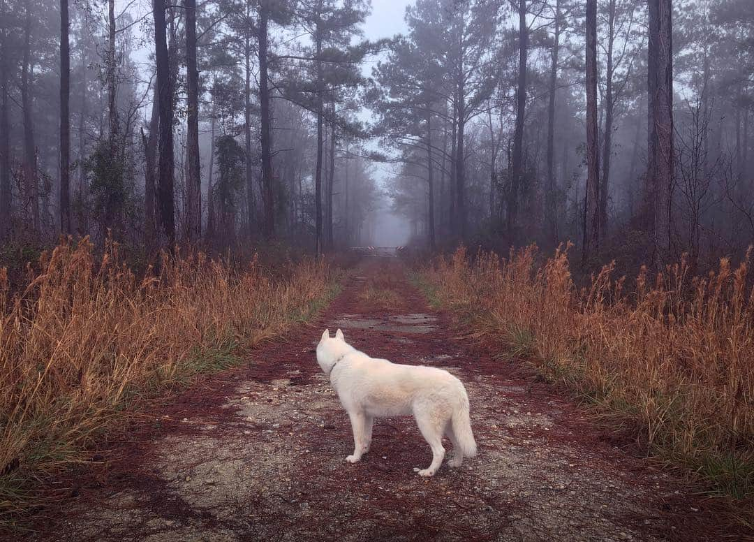 John Stortzさんのインスタグラム写真 - (John StortzInstagram)「Hunting for haunts」2月14日 10時10分 - johnstortz