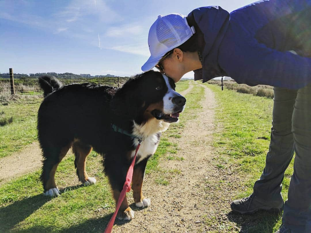 Mike Kriegerさんのインスタグラム写真 - (Mike KriegerInstagram)「Happy Valentine's Day to the incredible @kaitlyn, mother of Dragons...or at least our own Bernese Dragon Junaerys aka @junopup. Love you!」2月15日 1時58分 - mikeyk