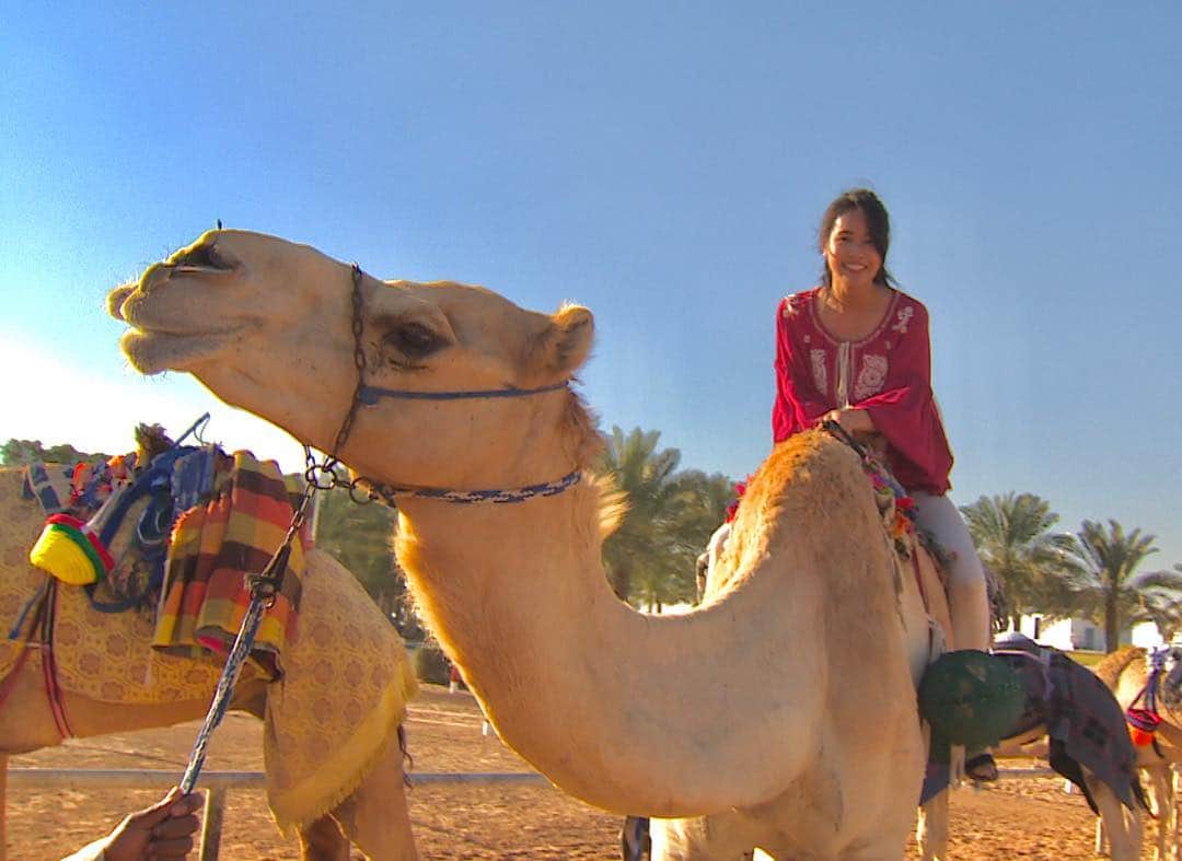 VANRIさんのインスタグラム写真 - (VANRIInstagram)「🇦🇪Dubai report 10🐪 . Rode a Camel for the first time🐫💕 #dubai #uae #UnitedArabEmirates #🇦🇪 #tbs #camel #dessert #camelridding . ドバイと言えば…ラクダ🐪‼️ . 初めてラクダにのりました😍🙏 乗馬と違って座っているところからのせてもらい そのままよっこらせと立ち上がるのですが それがまるでロデオマシーンのようでした😆笑 . ドバイのラクダ事情ももちろん放送されるのでお楽しみに〜💕 . #アラブ首長国連邦 #ドバイ #ラクダ #ラクダレース #可愛い #砂漠  #世界ふしぎ発見 #ミステリーハンター」2月15日 7時43分 - vanri0121