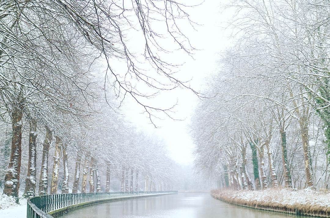 フランスアンティーク ランスタンさんのインスタグラム写真 - (フランスアンティーク ランスタンInstagram)「雪に彩られた並木道 . #雪景色 #雪 #canal #allee #neige #campagne #france」2月15日 7時37分 - antique_france