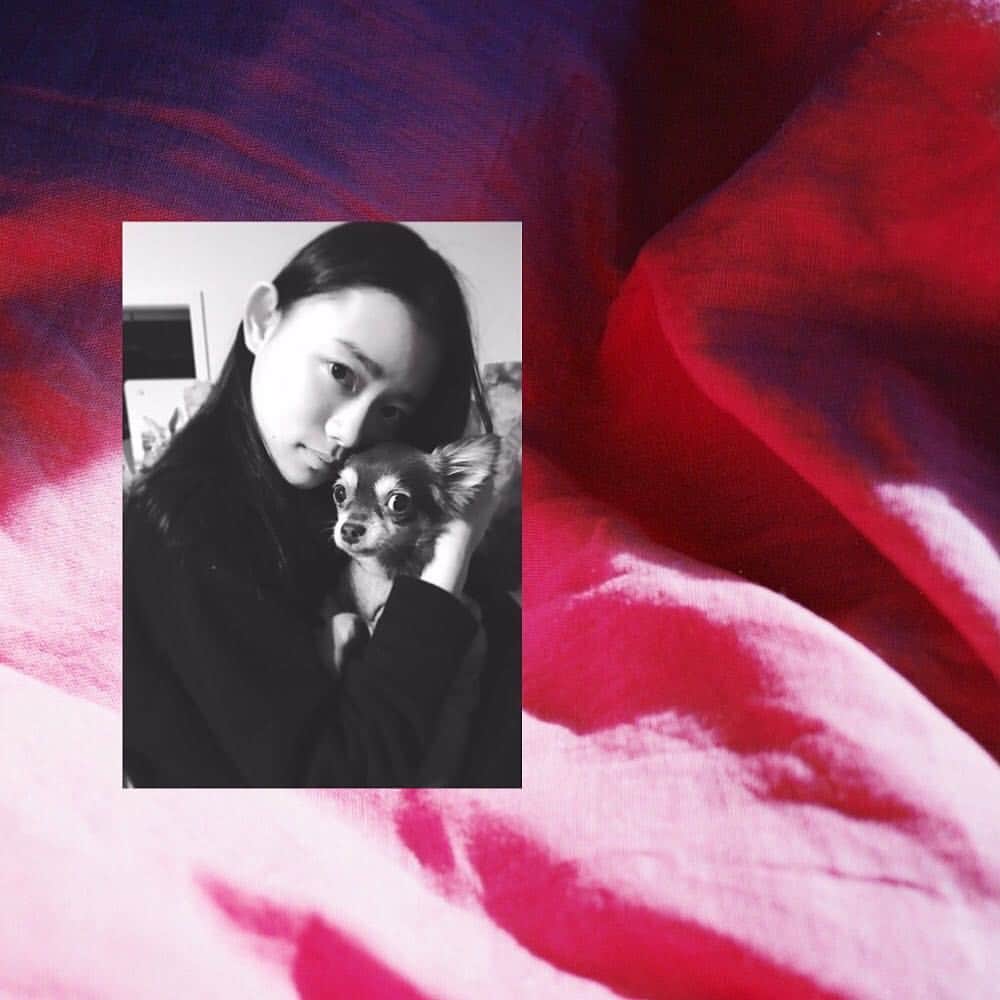杉咲花のインスタグラム：「Ｈａｎａ 🌸 Ａｚｕｋｉ」