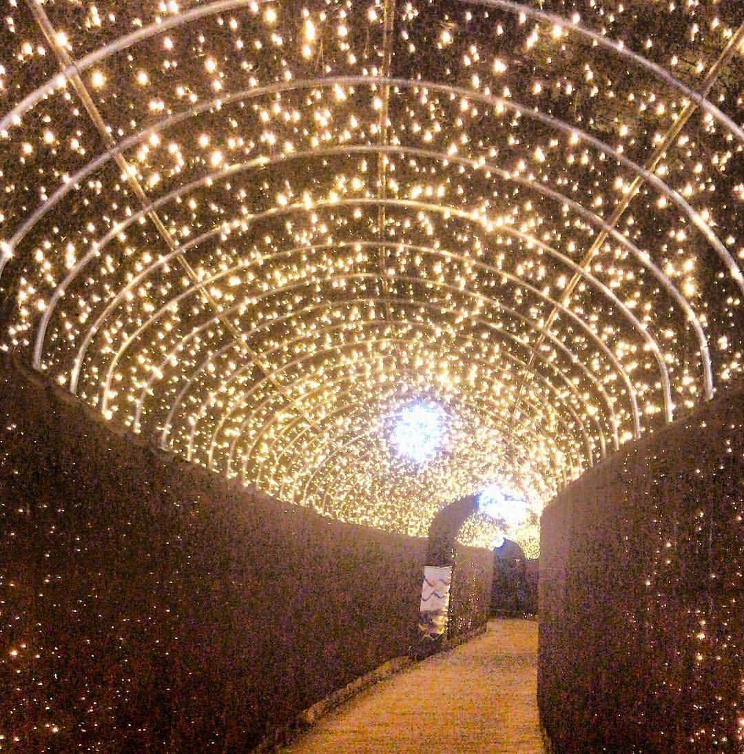 サラ・ヒューズのインスタグラム：「Beautiful walkway by the Village of Nations in #PyeongChang ✨」