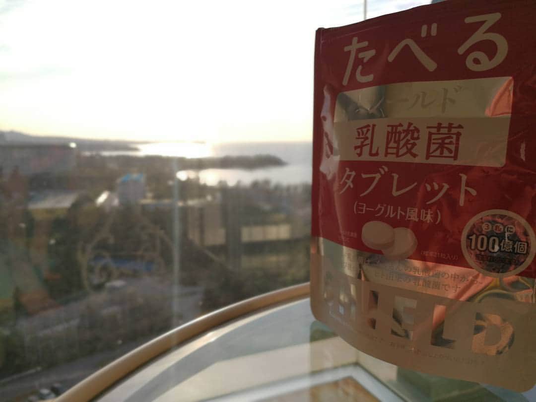 高梨雄平さんのインスタグラム写真 - (高梨雄平Instagram)「キャンプが始まって2週間が経ちました。 今年はこいつをせっせと食べております。  チョコレートを送って下さった方々、ありがとうございます♪  #サンセットがすぎる」2月15日 17時27分 - yuheitakanashi