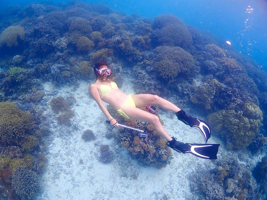 眞木美咲パメラのインスタグラム