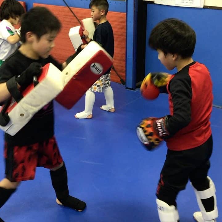 鈴木博昭のインスタグラム：「‪キッズクラス〜‬ ‪元気に満ちたこの時間、この子達が延びていく様をしっかりサポートするのがこの場の責任者である私の務め。‬ ‪ま、ただ成長するのが楽しくてやっているくらいのが延びるっちゃ延びるんだけどね(*´-`)♨︎‬」