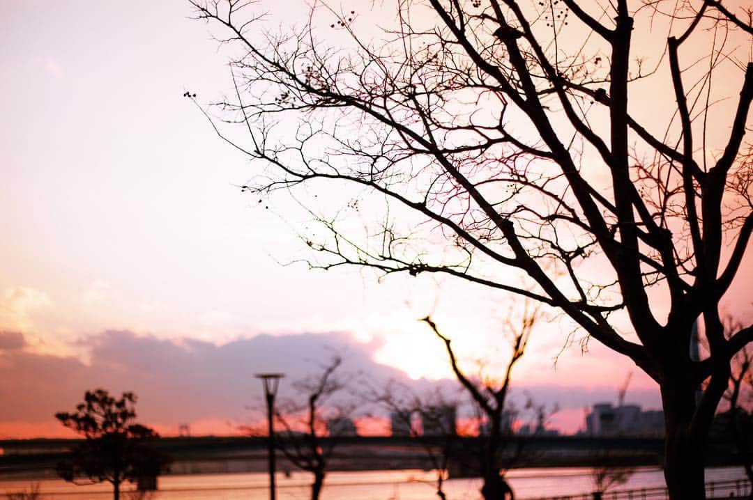 antibac2k_official from Tokyo Japanのインスタグラム：「- Twilight - #写真 #写真好きな人と繋がりたい #カメラ女子 #ファインダー越しの私の世界 #写真撮ってる人と繋がりたい」