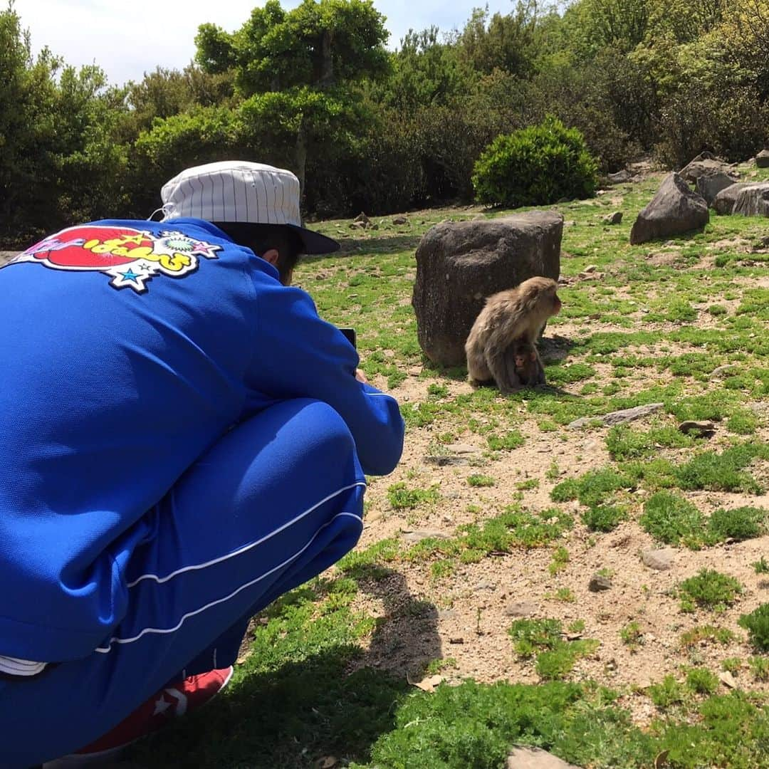 佐竹明咲美さんのインスタグラム写真 - (佐竹明咲美Instagram)「ロケットぱぁんちは充電期間に入っております。  そこで、本日もまたまたお送りします。 "ロケぱぁん傑作選" 過去に放送したものから ロケぱぁん的オススメ回を一挙放送します★ . きょうは2017年5月27日に放送した 『小豆島でオリーブ満喫! でもサルにはギャグ不発』です！ . 香川県小豆島の英語教室へ。 瀬戸内国際芸術祭の影響で増えている 外国人観光客を迎え入れるために 島民の皆さんが英語を学んでいるそう！ ロケぱぁんメンバーも ユニークな英語の授業を体験します🦋 . 続いて向かったのは銚子渓にある、 ベビーラッシュ期のお猿の国。 およそ500匹の かわいいサルたちに癒されたのも束の間。 狙われたのは江西さんのピンクメガネ。 サルは江西さんのピンクメガネを...！！！ . . そして、小豆島と言えばオリーブ♪ そんなオリーブの魅力が たっぷり詰まった「らしく園」へ。 江西さんが知らない間に単独行動！ まったく江西さんったら(⁎⁍̴̆Ɛ⁍̴̆⁎) きょう深夜0時55分〜 ぜひご覧ください★ . #ロケットぱぁんち #梶さんが撮った親子ザルの写真が素敵すぎる」2月17日 18時50分 - asami_satake