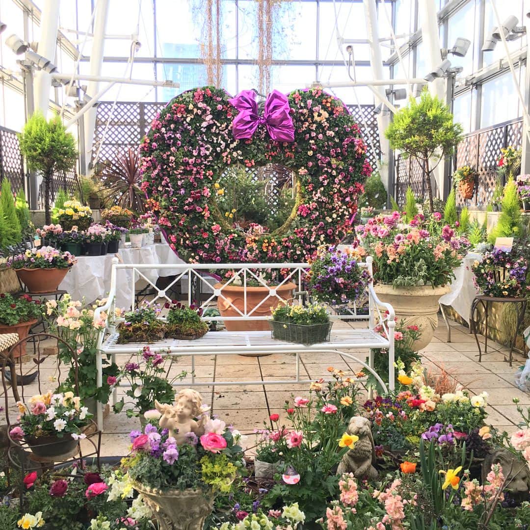 雑誌『花時間』さんのインスタグラム写真 - (雑誌『花時間』Instagram)「ようこそ💕、パンジー&ビオラたちが共鳴する早春のガーデンへ〜。ただいま、銀座4丁目からすぐ「ファンケル 銀座スクエア」10階に、“早春の女神の庭”が出現しています。ビオラの大きなハート💝リースがお出迎えしてくれるガーデンには、ラナンキュラスなどの春の花がいっぱい。珍しい品種にもたくさん出会えますよ〜(^^)。その一部は2枚目、4枚目、5枚目のpicでどうぞ。2／23（金）まで。入場無料ですっ❣️ by マダム ファンケル 銀座スクエア〈早春の女神の庭〉 http://www.fancl.jp/ginza-square/campaign/index.html#event05 #ファンケル銀座スクエア #早春の庭 #空中庭園 #銀座 #東京 #スプリングガーデン #hanajikan #hana #flower #flowers #flowerslovers #flowerstagram #viola #springflowers #garden #ginza #花時間 #花 #花好き #花藝 #花好きな人と繋がりたい #花が好きな人と繋がりたい #花のある生活 #花のある暮らし #ガーデニング #ラナンキュラス #パンジー #ビオラ」2月18日 10時35分 - hanajikan_magazine
