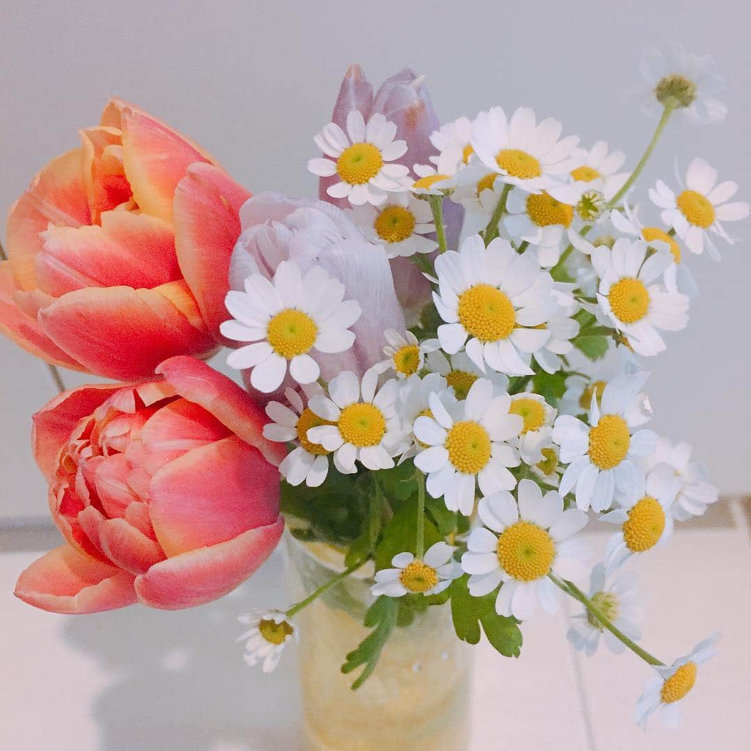 内田敦子さんのインスタグラム写真 - (内田敦子Instagram)「春はすぐそこ的な💐  #花 #花束 #花のある生活 #チューリップ #白と黄色の花 #よく見る花 #名前なんだっけw」2月18日 16時56分 - atsuko_uchida1205