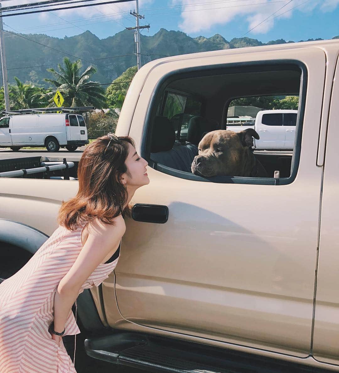 亜里沙さんのインスタグラム写真 - (亜里沙Instagram)「Most favorite pic💙 わんちゃんの表情がかわいすぎるよ〜🐶💖 #hawaii #dog #dogstagram #friends #Alisa_in_Hawaii」2月18日 19時53分 - alisa_0302