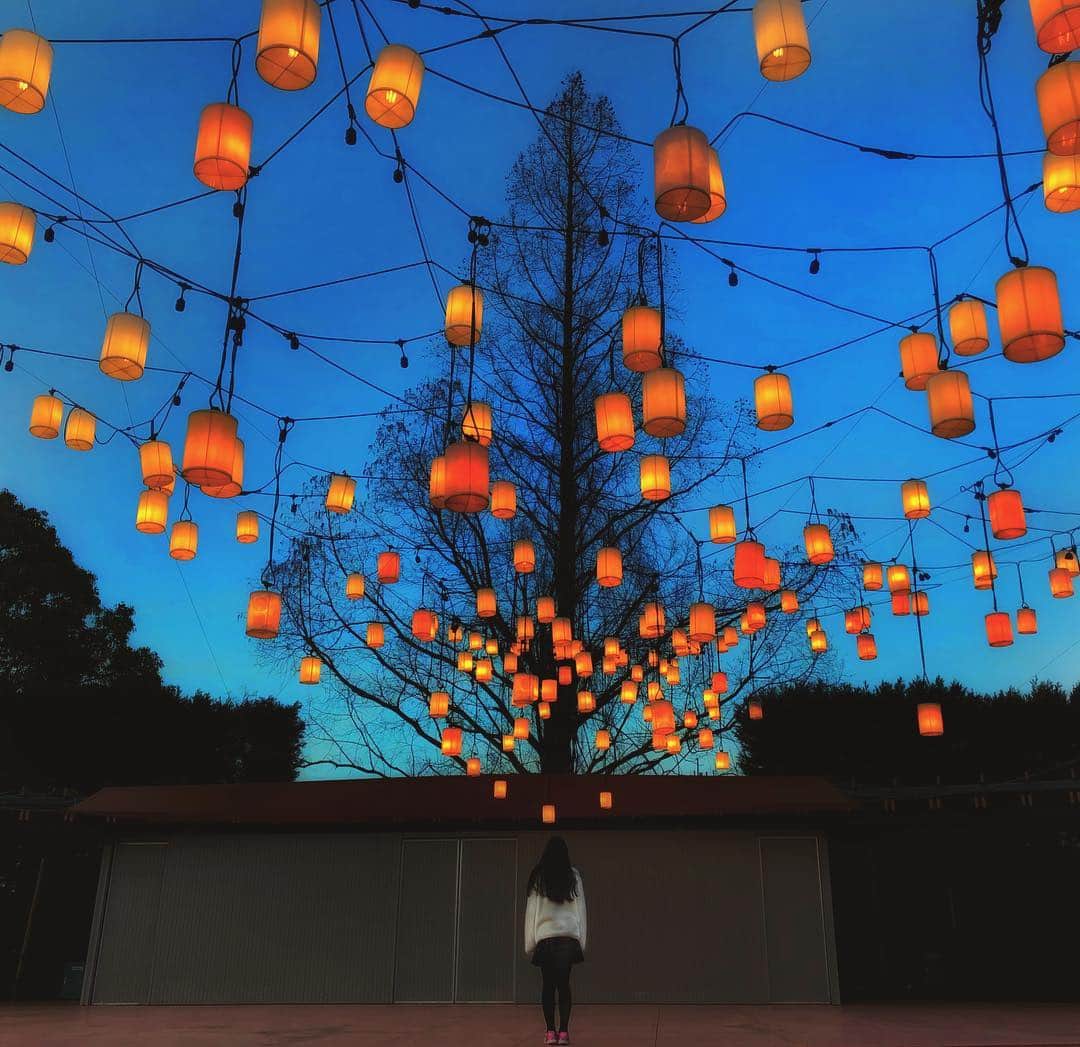 のインスタグラム：「Looks like "Tangled"  ラプンツェルがひらかたパークにやってきた………のかもしれない。昨日は1日遊園地に付き合い、今日は3週間後のフルマラソンの練習で14km走り、足が…腰が…ヨレヨレ。」