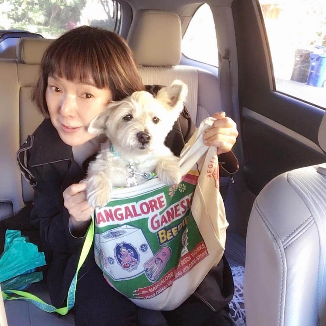 桃井かおりのインスタグラム