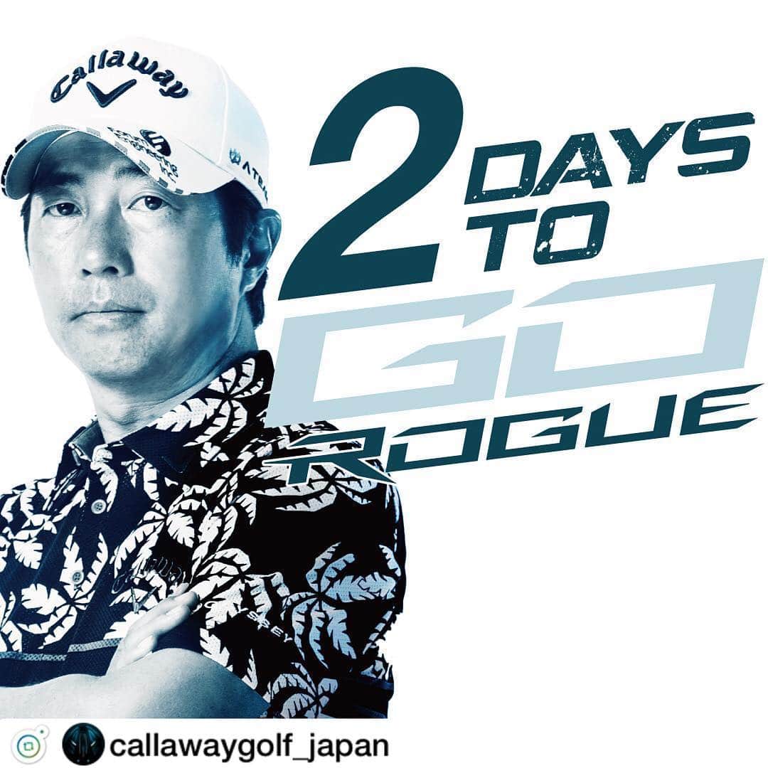佐伯三貴のインスタグラム：「ROGUE発売まであと2日❗2️⃣Days to #GOROGUE #深堀圭一郎 #ROGUE #ROGUESTAR #CallawayROGUE #ローグ #ローグスター #キャロウェイ #Callaway」