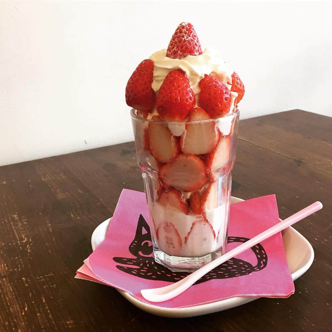 Tastimeのインスタグラム：「個数限定！どうしても食べたいなら要予約🍓 おうちごはん cafe たまゆらん🐱 📍京都府京都市左京区浄土寺西田町108-4 12:00am〜6:00pm photo by @tamayuran」