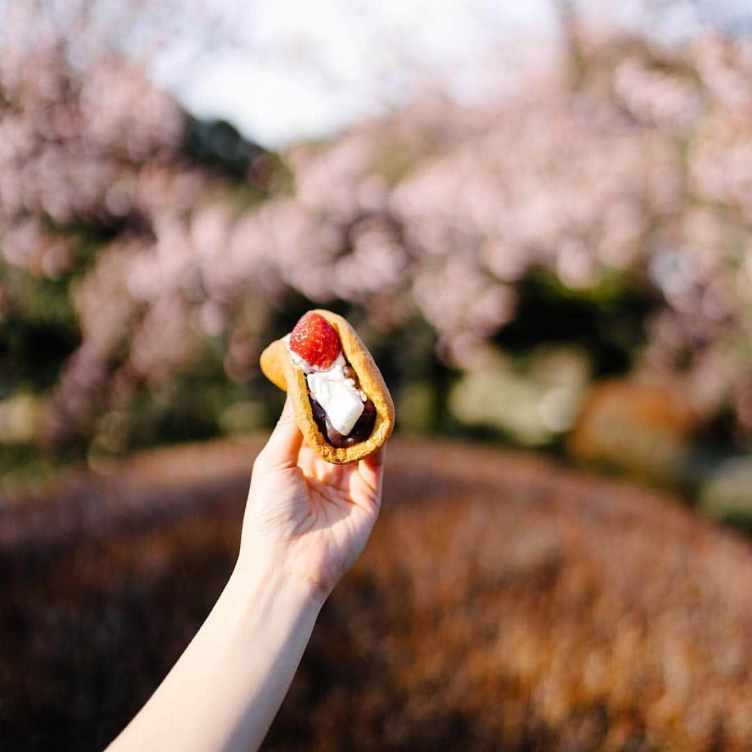 DOUのインスタグラム：「ㅤㅤㅤㅤㅤㅤㅤㅤㅤㅤㅤㅤㅤ 花よりも団子よりも、どら焼き。 ㅤㅤㅤㅤㅤㅤㅤㅤㅤㅤㅤㅤㅤ #dou#namadorayaki#dorayaki #sweets#japanesesweets  #生どら焼き#生どら焼きミニ ㅤㅤㅤㅤㅤㅤㅤㅤㅤㅤㅤㅤㅤ」