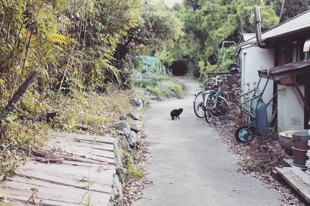 yukaのグルメインスタ