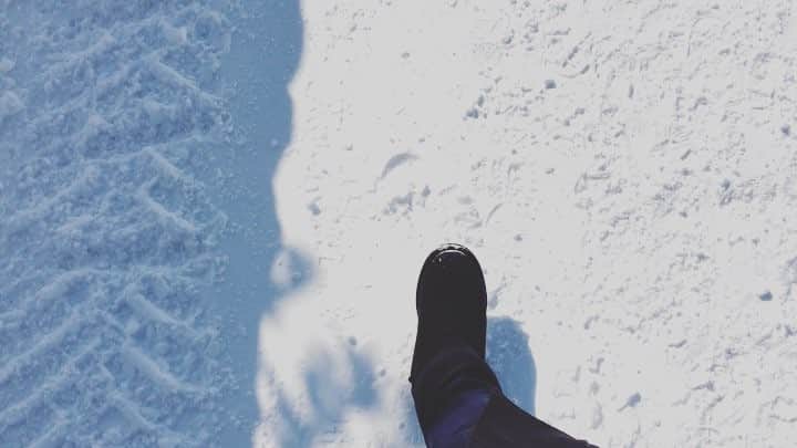 のインスタグラム：「❄️👣❄️👣❄️👣 #ザクザク歩く #太陽の光が雪に反射して眩しすぎる #眉間にシワよりすぎる #目痛すぎる #でも素敵な風景」